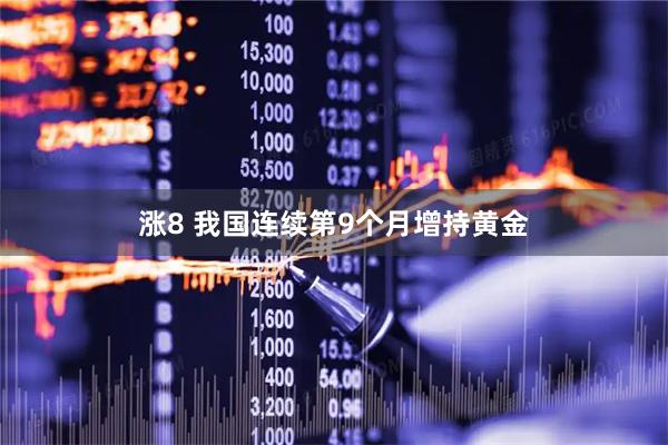 涨8 我国连续第9个月增持黄金
